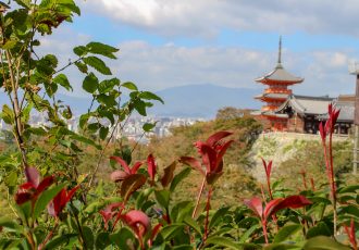 Roteiro de 4 dias em Kyoto: descobrindo a magia da cultura milenar japonesa